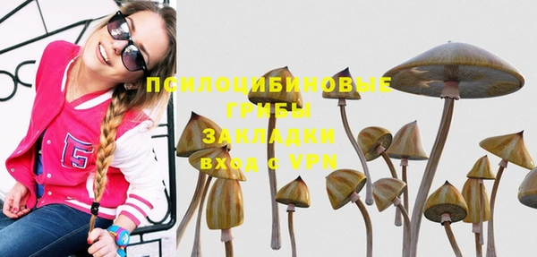 PSILOCYBIN Алексин