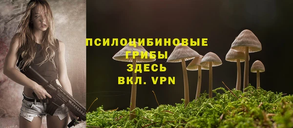 PSILOCYBIN Алексин