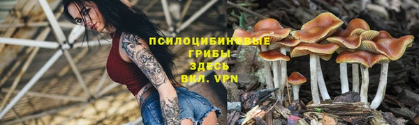 кристаллы Алзамай